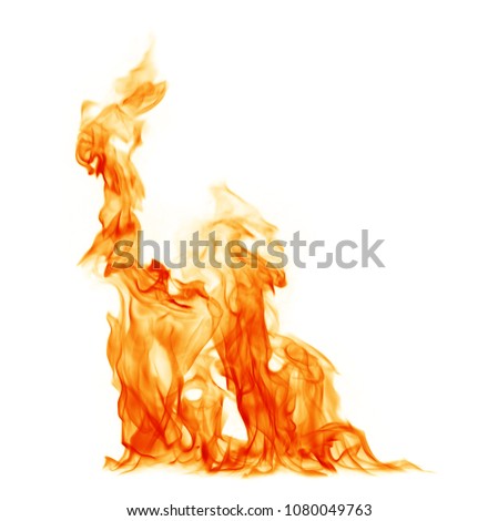 Fire burning flames white background