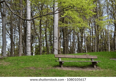 Bench by the road to the lookout tower at Saint Hostyn. East Moravia. Europe. 