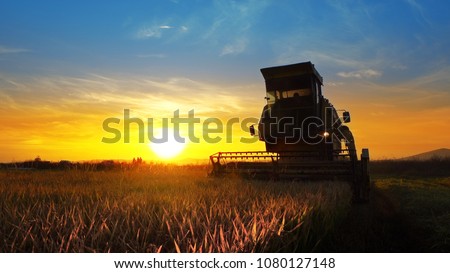 Combine, field and sunrise. Reach success in agribusiness Royalty-Free Stock Photo #1080127148