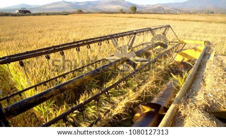 Wheat harvesting shearers