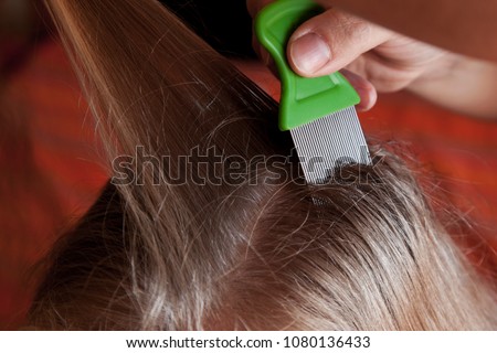 Mother checking childs head for lice with a comb