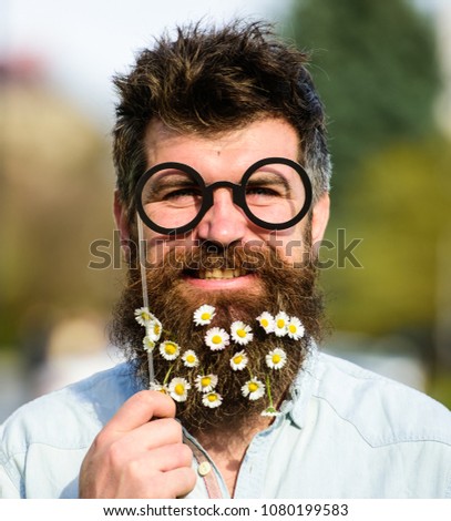 Man with long beard and mustache, defocused nature background. Hipster with beard on smiling face, posing with glasses. Guy looks nicely with daisy or chamomile flowers in beard. Springtime concept.
