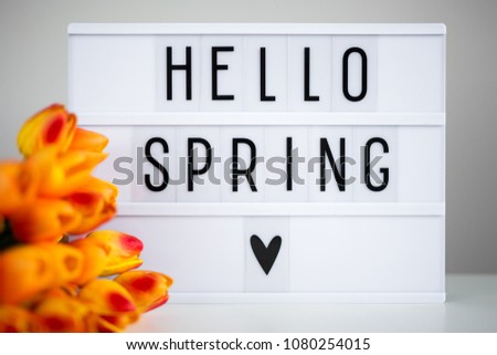 lightbox with words "hello spring" and tulip flowers on the table