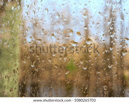 Morning rain in the spring forest.Selective focus.View through the car window.Background.