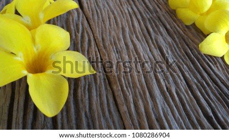 Yellow flowers on wooden background. selective focus, underexposed