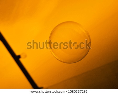 orange bubble closeup