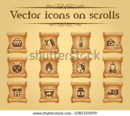 veterinary clinic simple vector icons on ancient scrolls