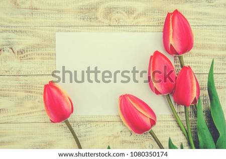 congratulations and tulips on a light background. selective focus.