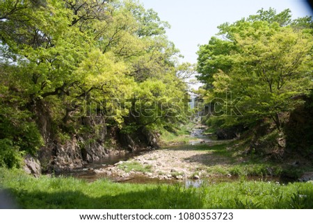 The stream of green valley is abundant. It was filmed in Korea.