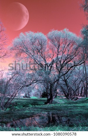 church could be seen through the trees of the park. infrared photography