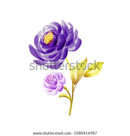 watercolor botanical illustration, violet peony, pink rose, yellow gold leaves, vintage spray, floral bouquet, whimsical nature, clip art isolated on white background