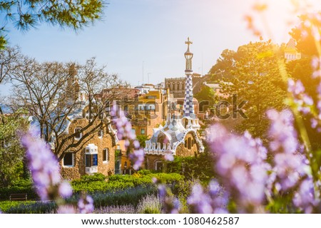 Colorful mosaic building in Park Guell. Violet flower in foreground. Evening warm Sun light flares, Barcelona, Spain Royalty-Free Stock Photo #1080462587
