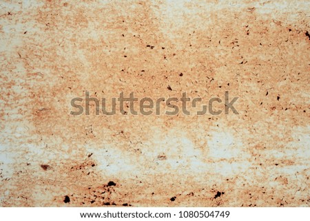 Texture of an old rusty wall. Beautiful scratches. Damaged plane. Painted surface. Designer background.