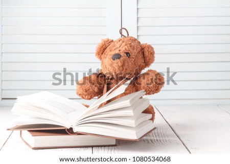 Kid education concept, eddy bear with book