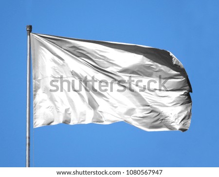 flag of White on a flagpole