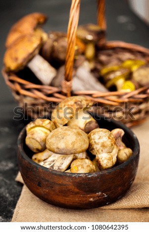 Fresh forest mushrooms in a bowl, rustic style