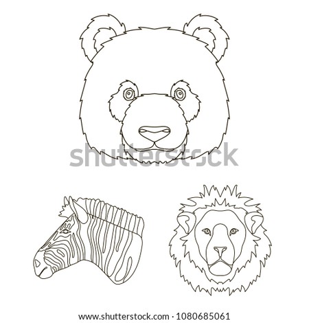 Wild animal outline icons in set collection for design. Mammal and bird vector symbol stock web illustration.