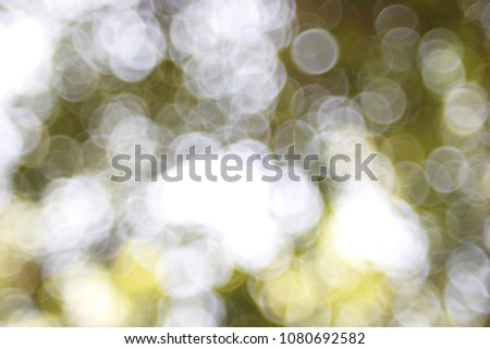 Background green blur beautiful is the bokeh effect nature color look attractive.