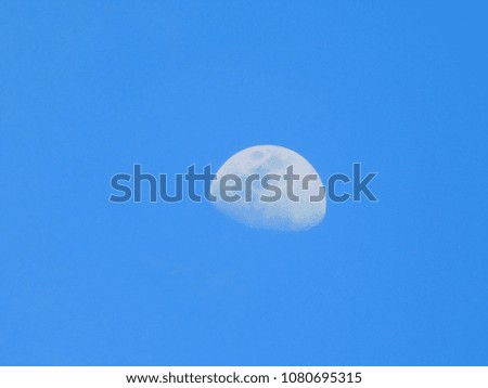 The moon in daytime