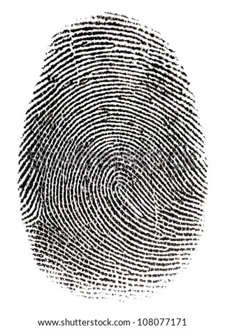 Real fingerprint in white background Super macro Royalty-Free Stock Photo #108077171