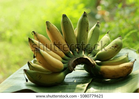banana fruit on green banana leaf background.
