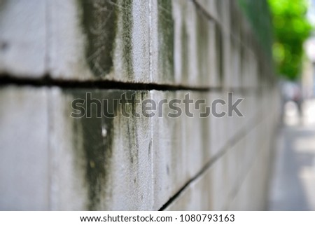 Wall fence wall