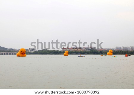 Giant rubber duck in the central lake, Tangshan, China

