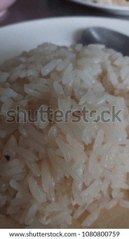 A close up picture of the beautiful oilly rice on the white dish. It is a rice for the Hinanese Chicken Rice which a famous food in asia. 
