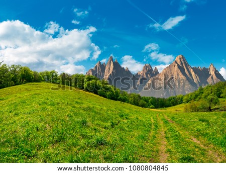 Composite summer landscape. Path through the forest on grassy hillside in High Tatras. beautiful summer weather with blue sky and some clouds