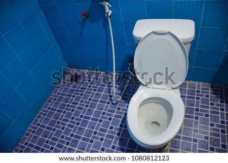 toilet,White toilet bowl in the bathroom.,Fragment of a luxury bathroom