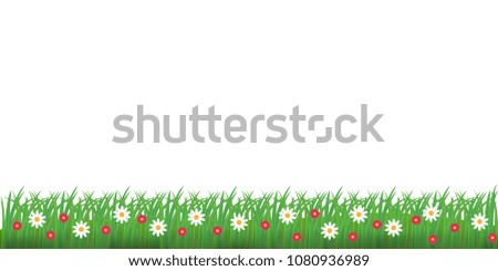 Spring grass and flowers border. Vector illustration. Eps 10.