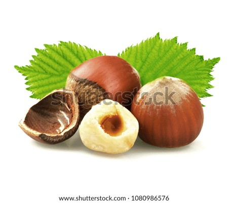 Hazelnuts with leaves isolated on white background
