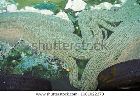 Abstract sludge texture. Green background .standing water
