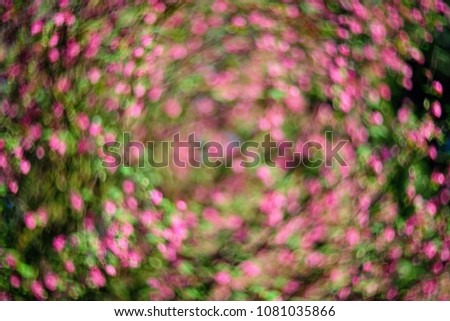 Swirly pink bokeh from retro manual m42 lens. Blurred colorful defocused  background. Blurry abstract flowers for Background