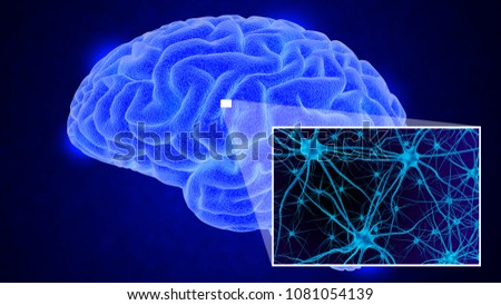 Human brain on dark background. 3D render