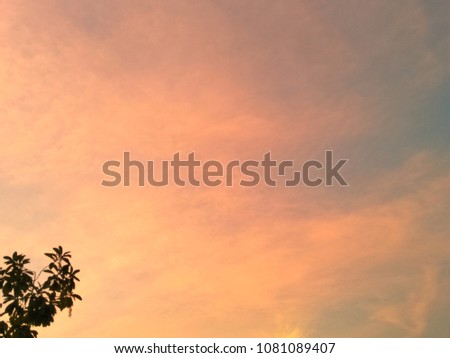 Sunset and dramatic sky with silhouette of tree.