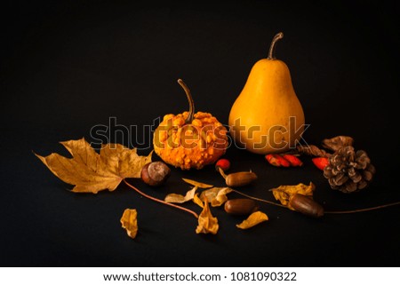 Autumn picture - orange pumpkins and leaves on a dark background
