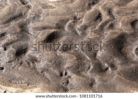 abstract background texture of wet sand and clay