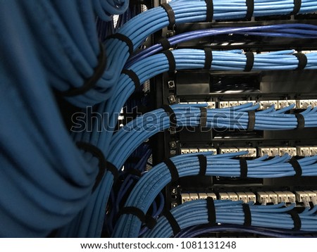 Large group of UTP cables, Ethernet cables in rack cabinet, UTP cables from a patch panel in the server rack in the data center room. Royalty-Free Stock Photo #1081131248