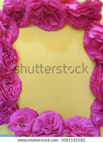 roses frame on yellow background