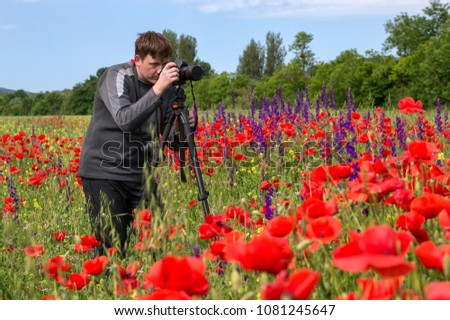 photographer takes a picture of a field of red poppies
