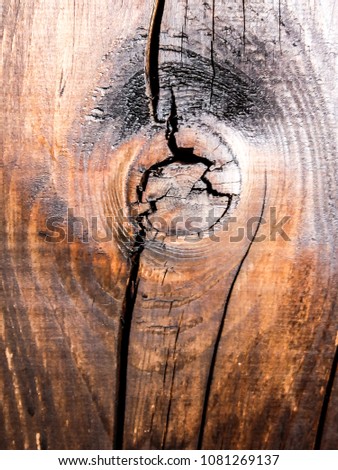 Photo Picture of the Beautiful Wood Background Texture