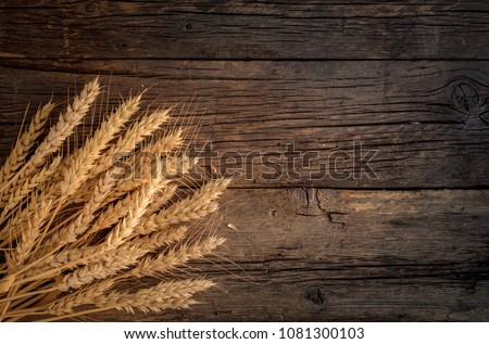 Wheat ears on rustic wooden background. Royalty-Free Stock Photo #1081300103