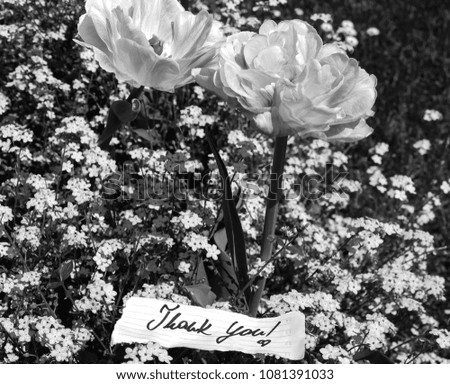 Thank you flower note - black and white photo 