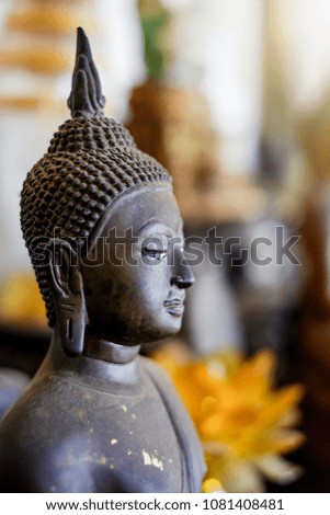 Vintage Metal Buddha statue with blurry background.