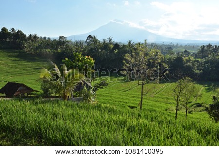 View of Sunrise, Mount Batukaru and Rice Terraces at Belilimbing Village, Pupuan, West Bali