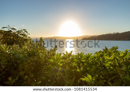Golden Sunrise Over Wellington Harbor, New Zealand 