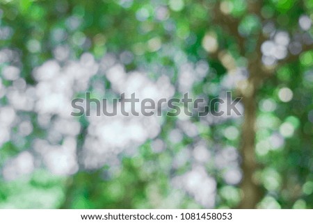 abstract bokeh Green Nature background Is blurry