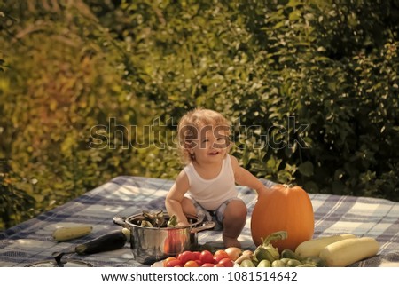 One little smiling boy at picnic playing and sitting near pot orange pumpkin squash and cucumber red tomato on checkered plaid looking away on natural background sunny day, horizontal picture