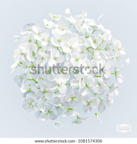 Modern floral vector art - luxurious white Hydrangea and Apple blossom in watercolor style for 8 March, wedding, Valentine's Day,  Mother's Day, sales and other spring and summer seasonal events.